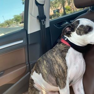 Meet your Posher, Omar